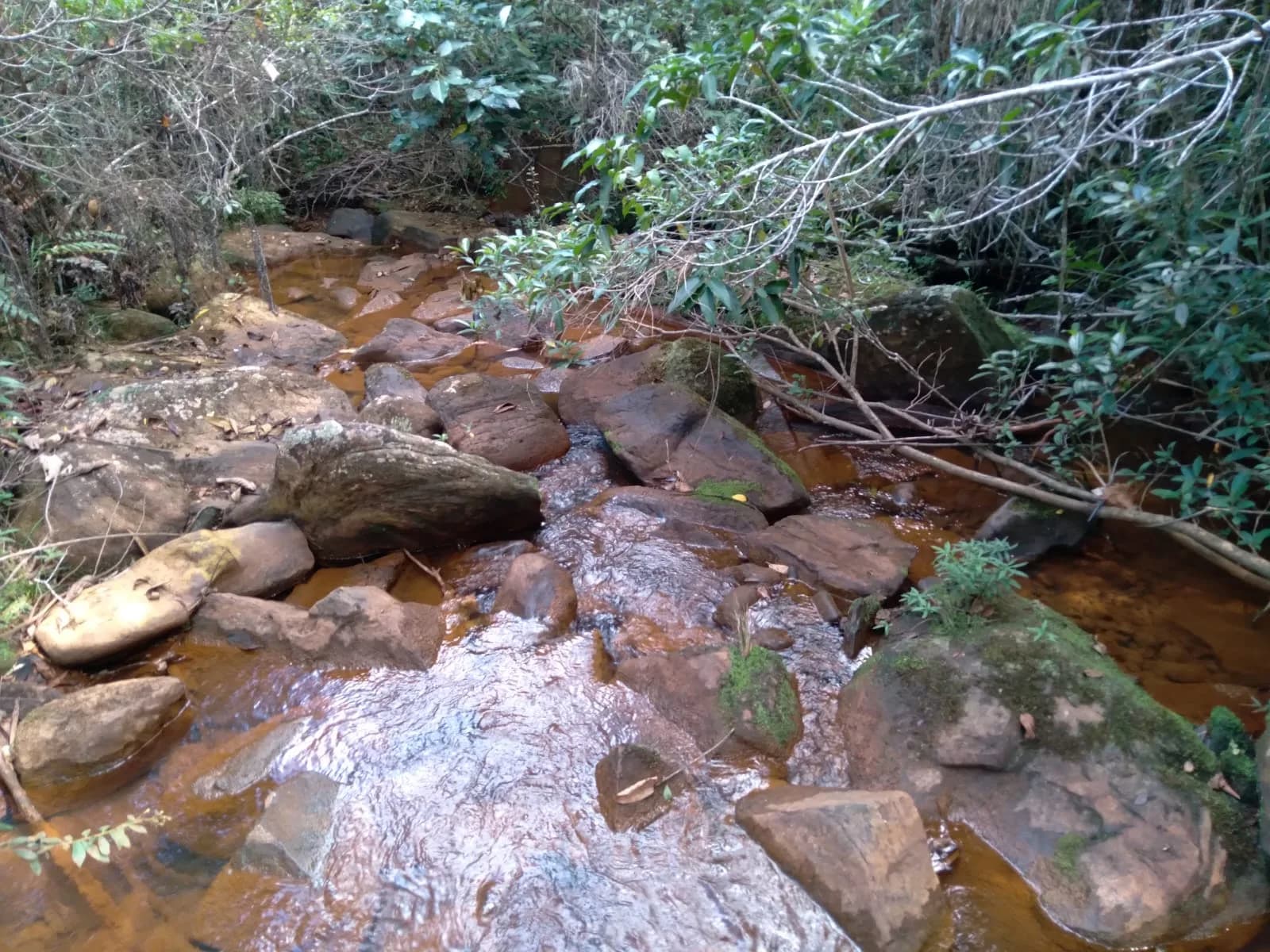 Terreno para venda