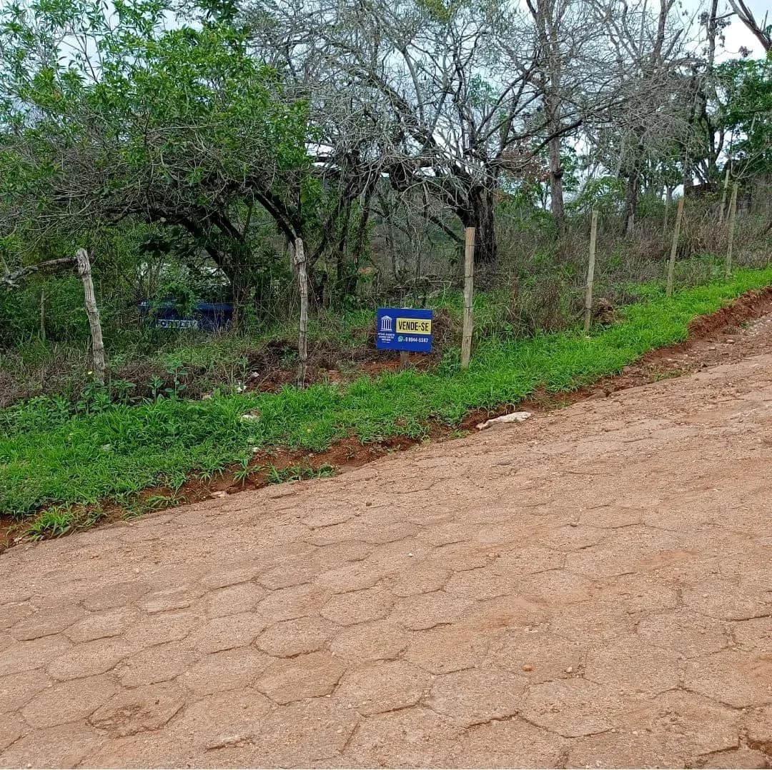 Lote para Venda — foto 1